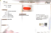 6.60/Carat Natural Cylindrical Red Coral (1800)